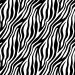 Print - Black White Zebra